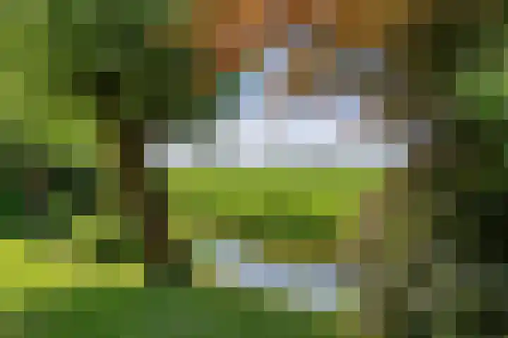 Zomerweg 32 Hurdegaryp thumbnail 13
