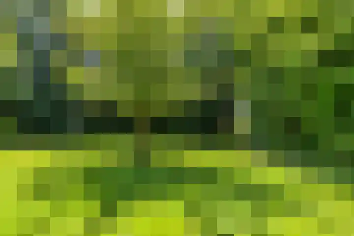 Zomerweg 32 Hurdegaryp thumbnail 14
