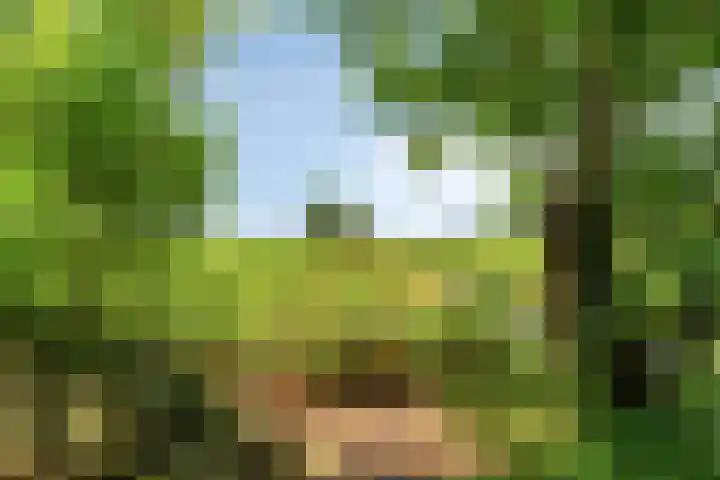 Zomerweg 32 Hurdegaryp thumbnail 15