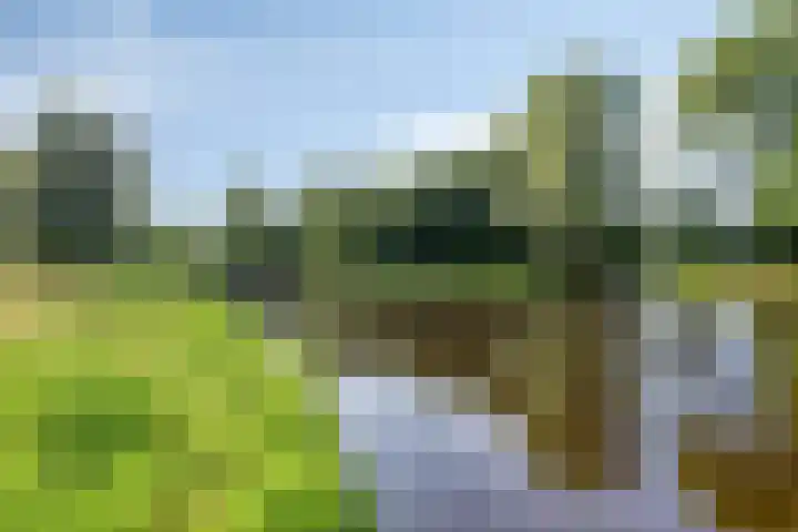 Zomerweg 32 Hurdegaryp thumbnail 16