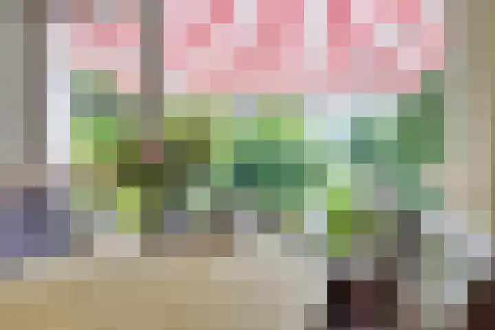 Zomerweg 32 Hurdegaryp thumbnail 34