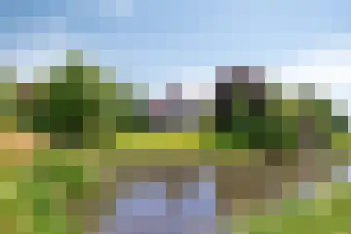 Zomerweg 32 Hurdegaryp thumbnail 5