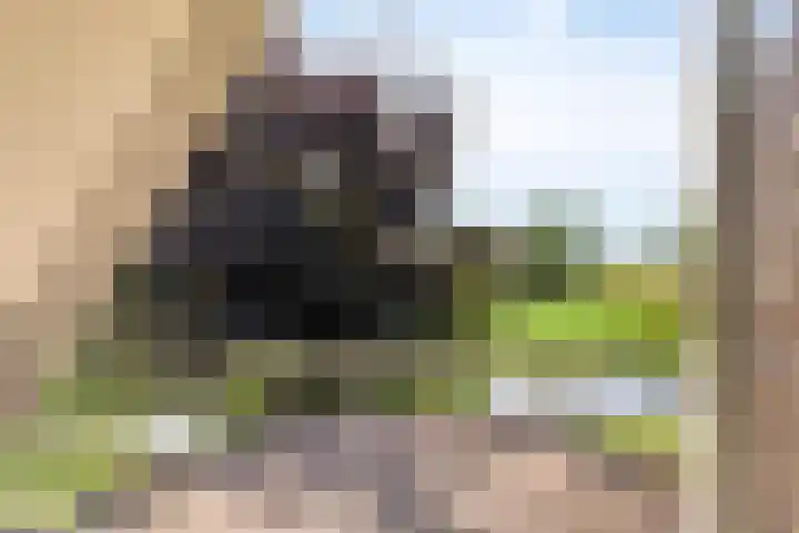 Zomerweg 32 Hurdegaryp thumbnail 50