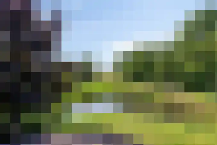 Zomerweg 32 Hurdegaryp thumbnail 51