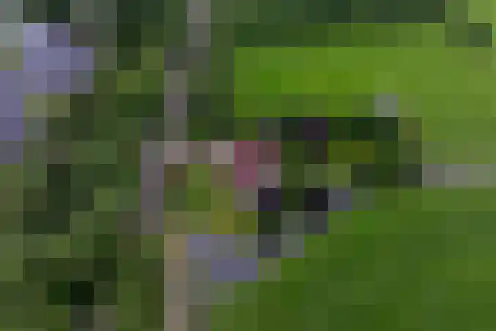 Zomerweg 32 Hurdegaryp thumbnail 54