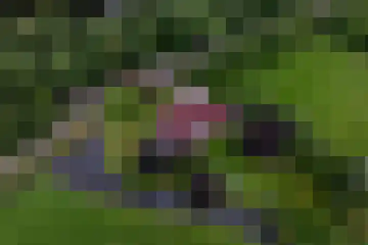 Zomerweg 32 Hurdegaryp thumbnail 55