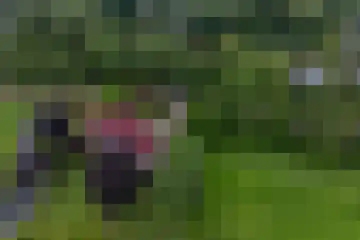 Zomerweg 32 Hurdegaryp thumbnail 56