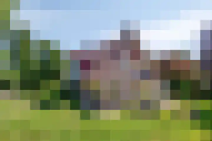Zomerweg 32 Hurdegaryp thumbnail 6