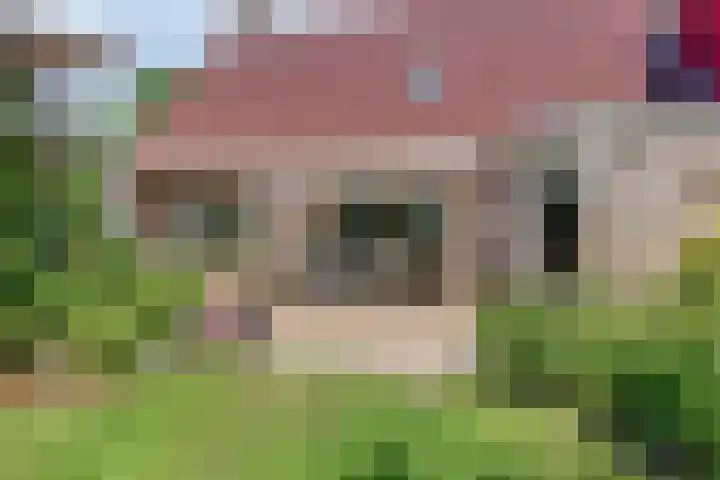 Zomerweg 32 Hurdegaryp thumbnail 8