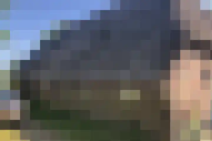Zomerweg 40 Burgum thumbnail 16