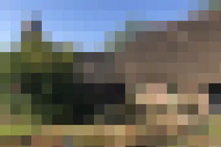 Zomerweg 40 Burgum thumbnail 17