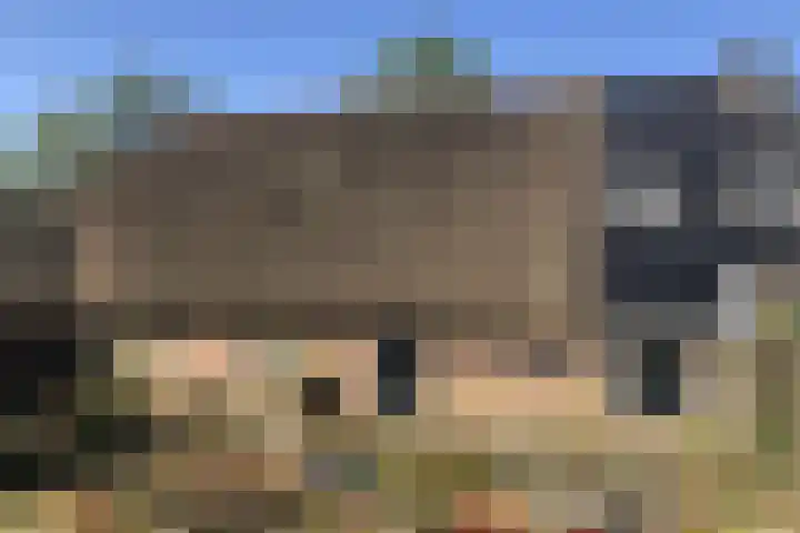 Zomerweg 40 Burgum thumbnail 18