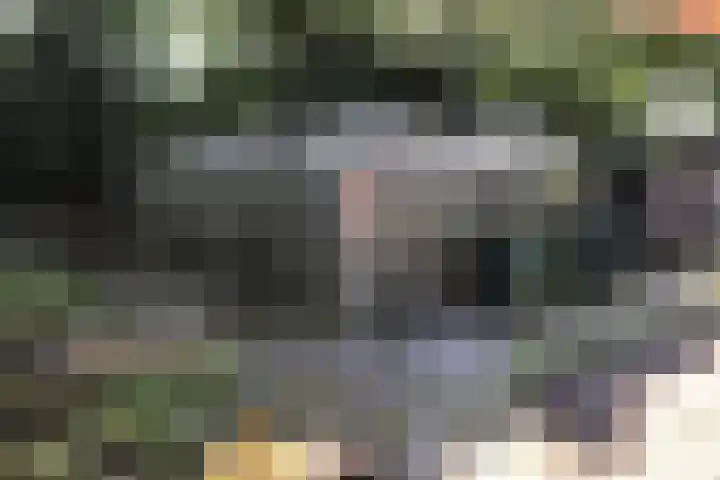 Zomerweg 40 Burgum thumbnail 19