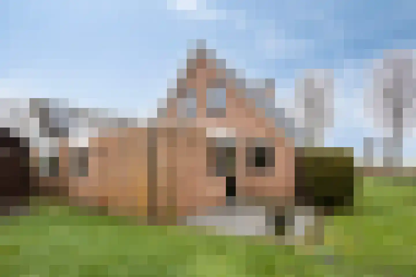 Zomerweg 41 Tytsjerk thumbnail 4