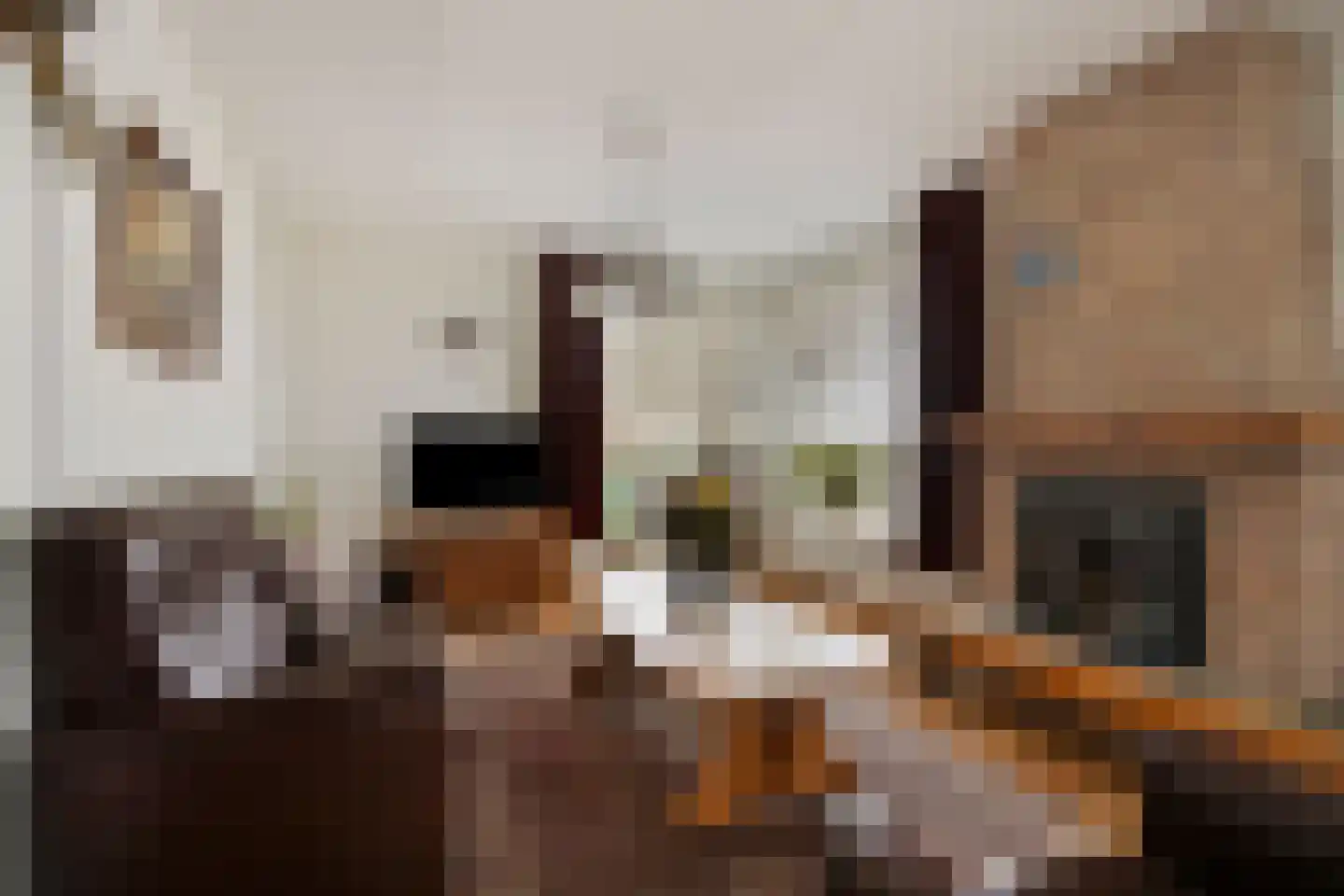 Zomerweg 41 Tytsjerk thumbnail 7