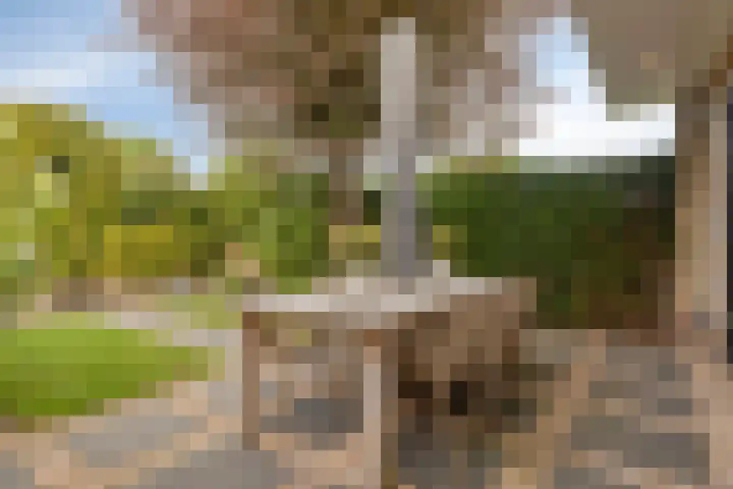 Zomerweg 45 Kloetinge thumbnail 41