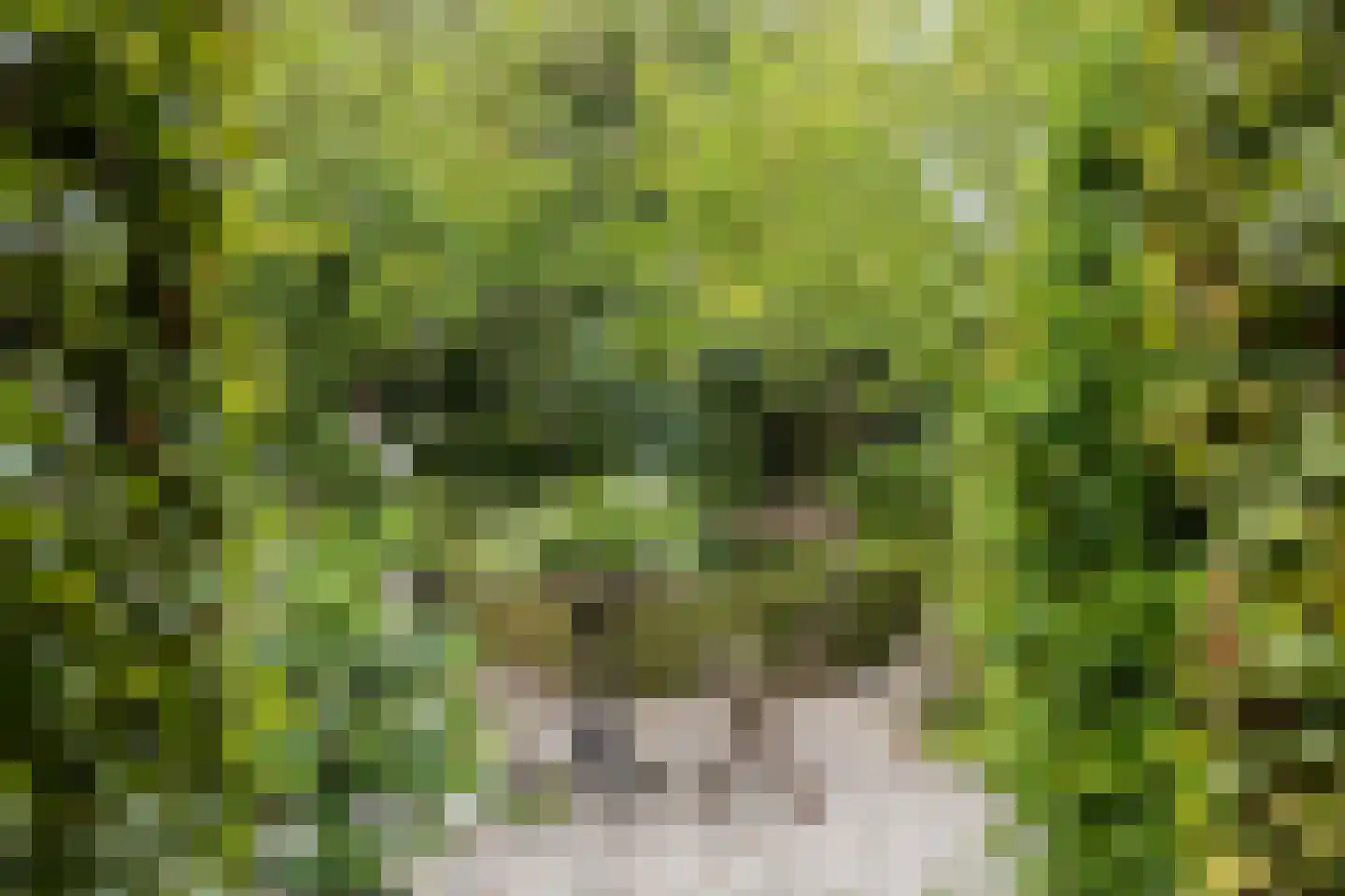 Zomerweg 45 Kloetinge thumbnail 44