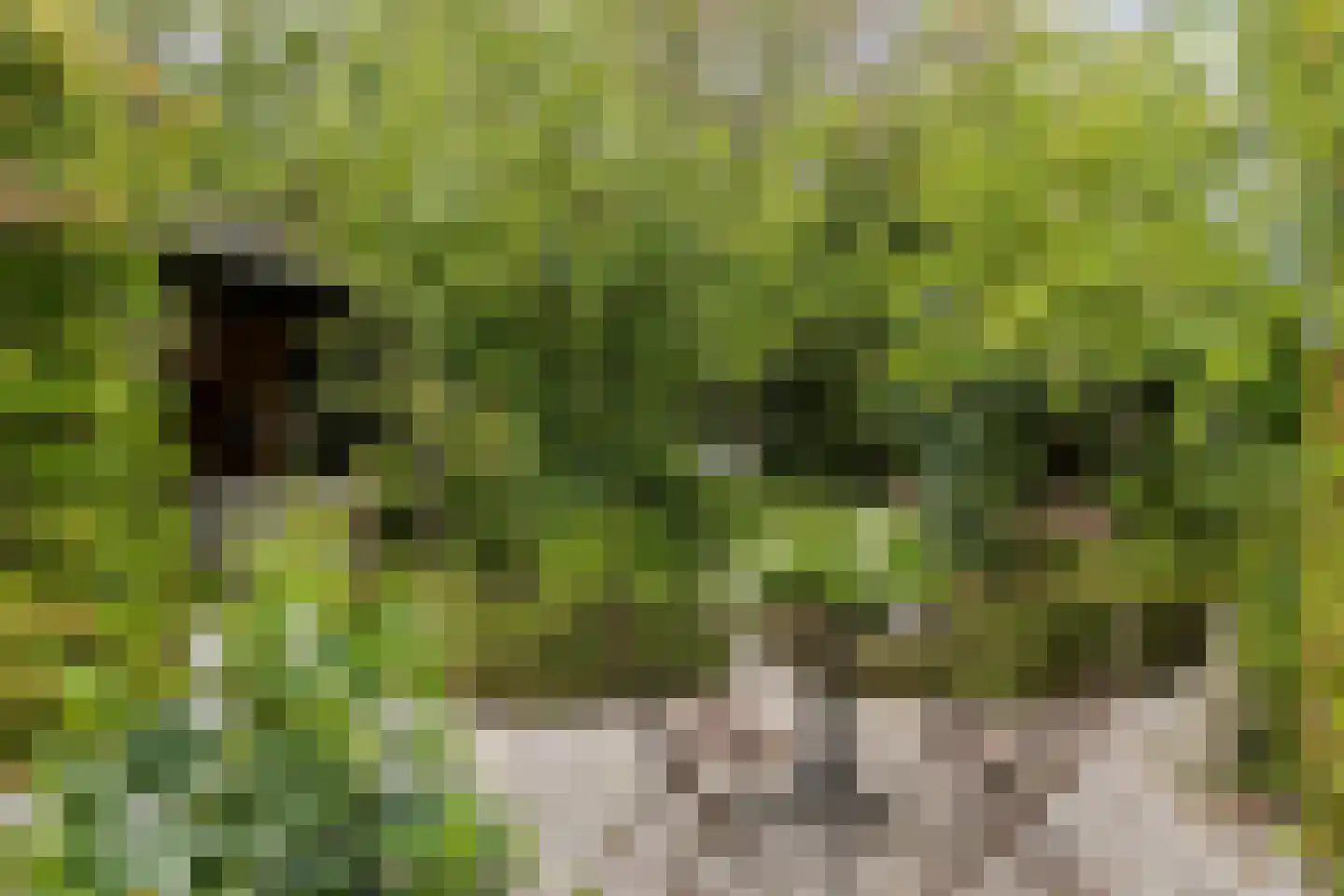 Zomerweg 45 Kloetinge thumbnail 45