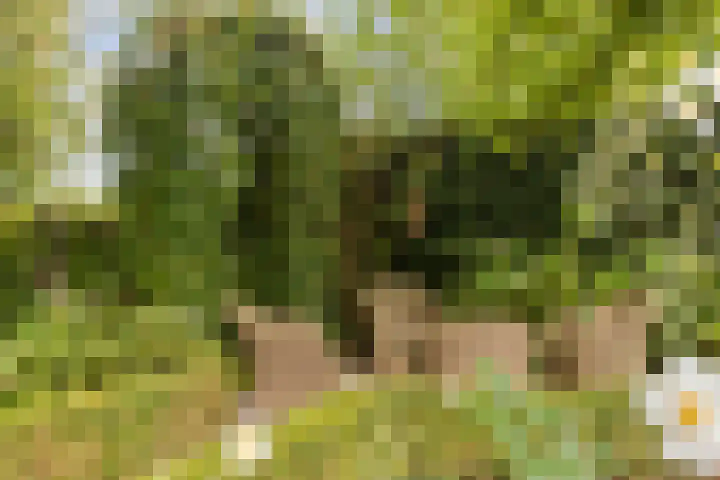 Zomerweg 45 Kloetinge thumbnail 46