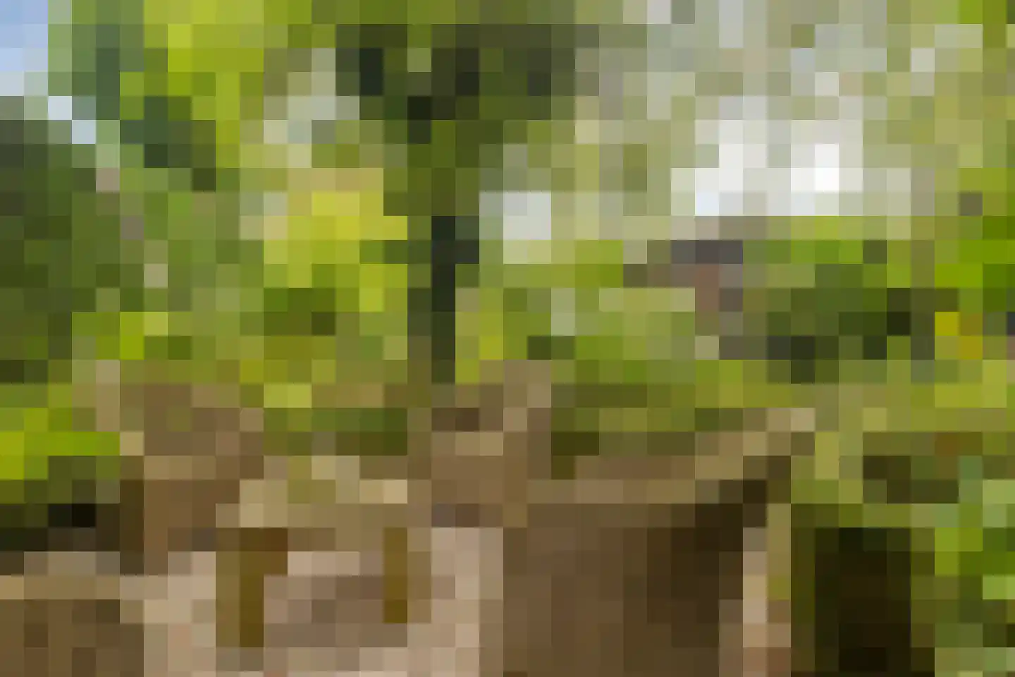 Zomerweg 45 Kloetinge thumbnail 47