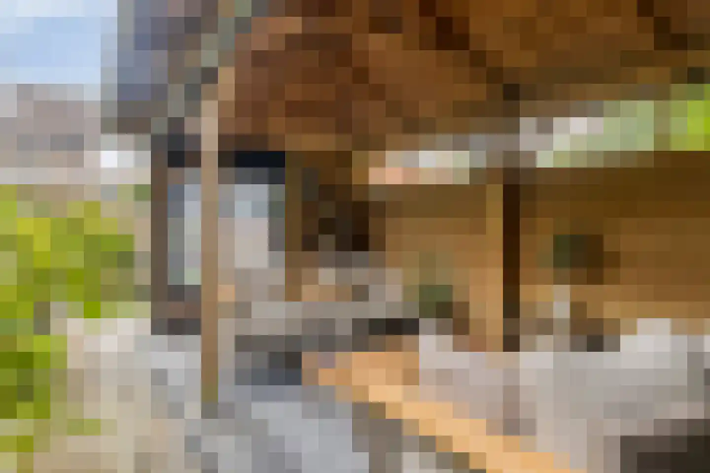 Zomerweg 45 Kloetinge thumbnail 48