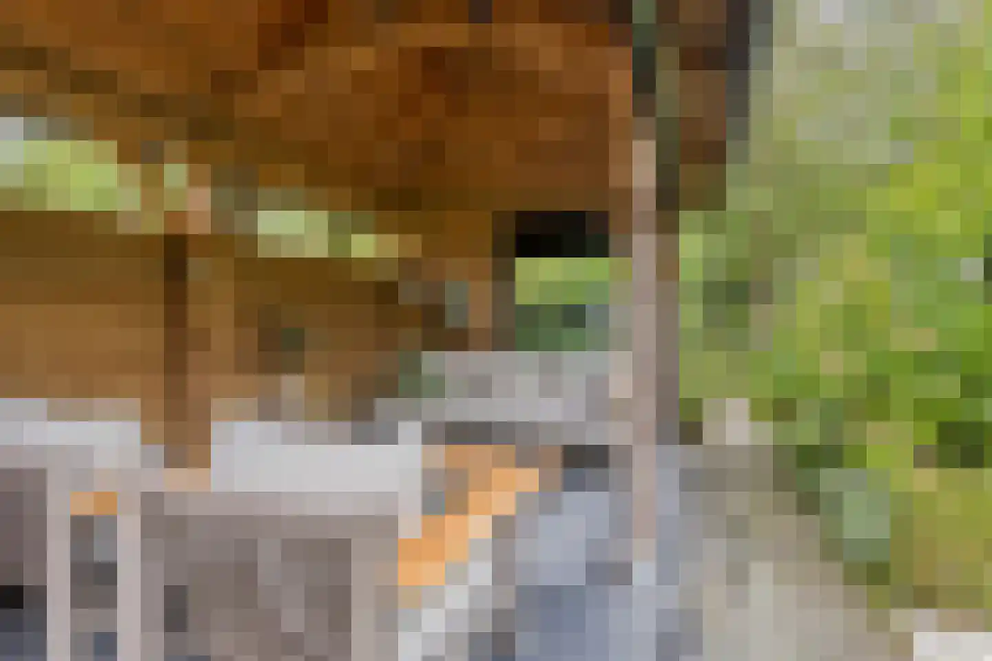 Zomerweg 45 Kloetinge thumbnail 49