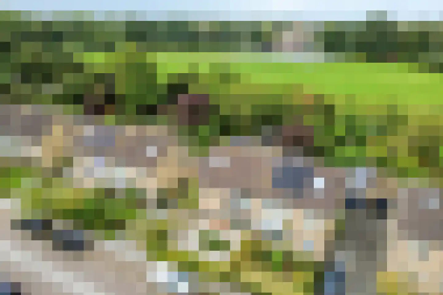 Zomerweg 45 Kloetinge thumbnail 5