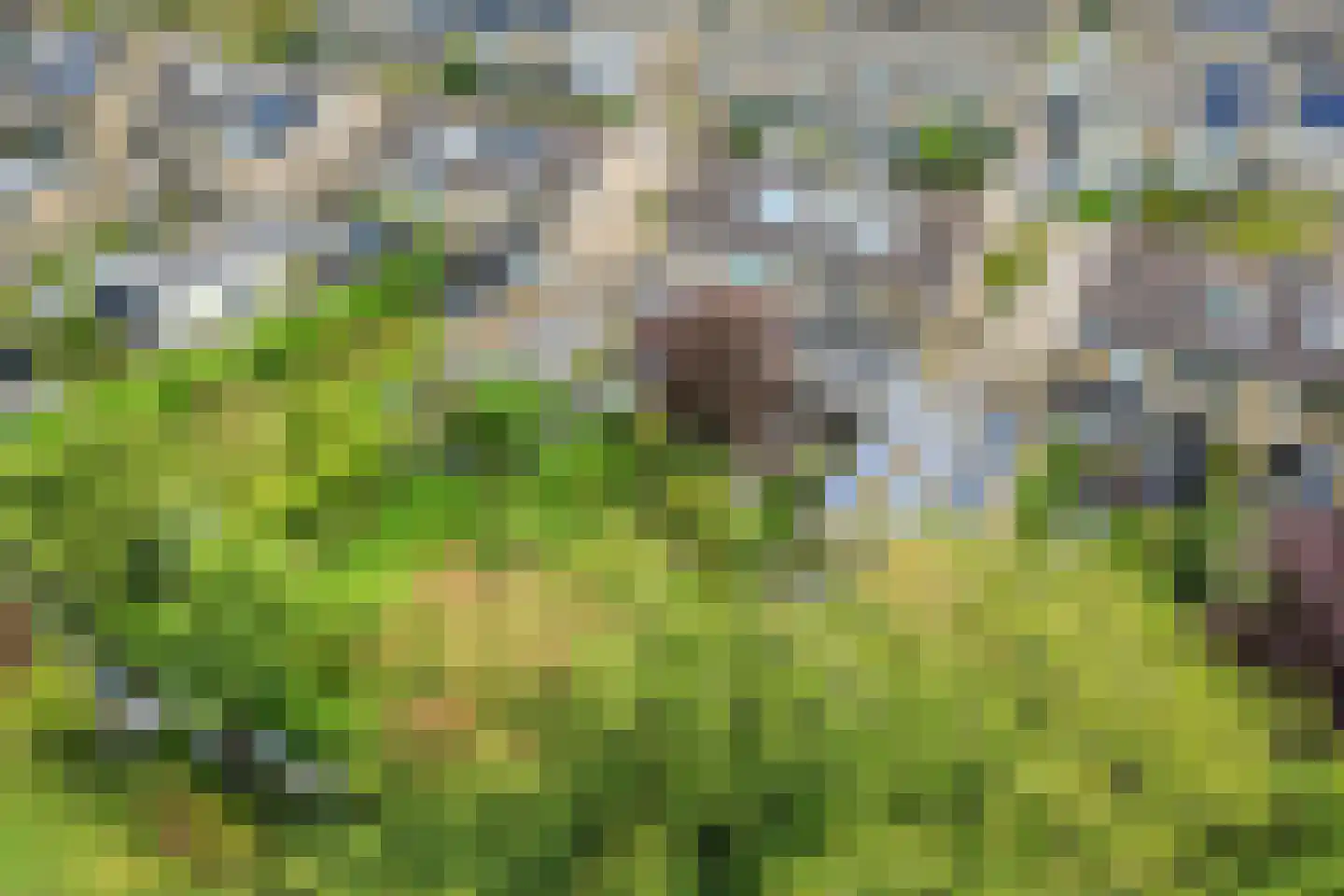 Zomerweg 45 Kloetinge thumbnail 50