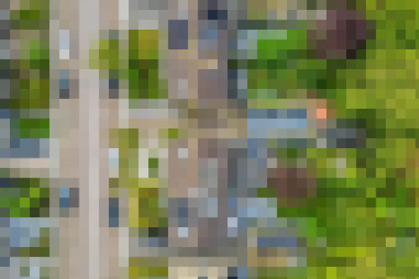 Zomerweg 45 Kloetinge thumbnail 6