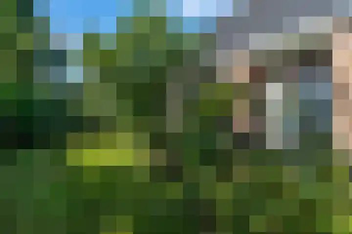 Zomerweg 45 Tytsjerk thumbnail 10