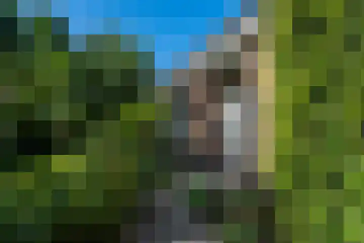 Zomerweg 45 Tytsjerk thumbnail 11