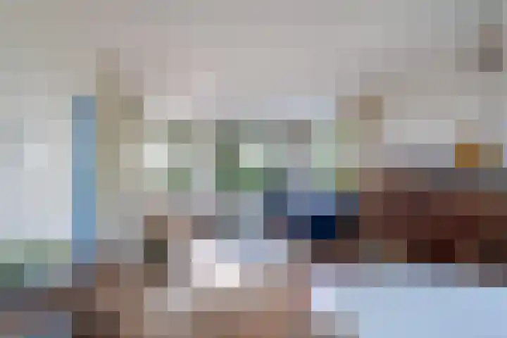 Zomerweg 45 Tytsjerk thumbnail 15