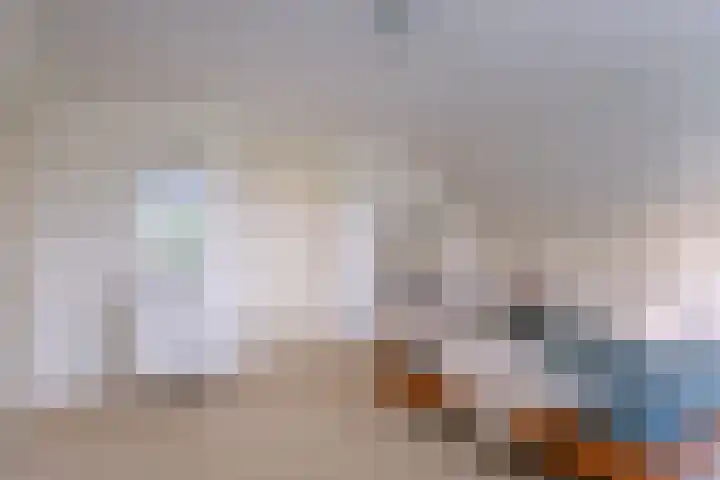 Zomerweg 45 Tytsjerk thumbnail 36