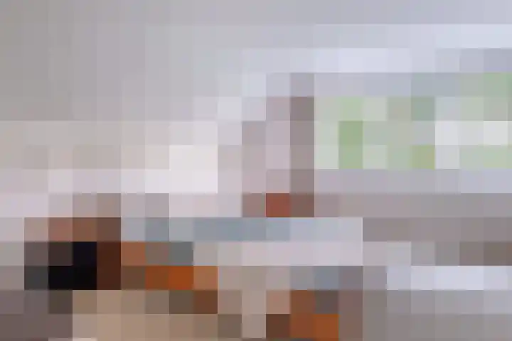 Zomerweg 45 Tytsjerk thumbnail 40