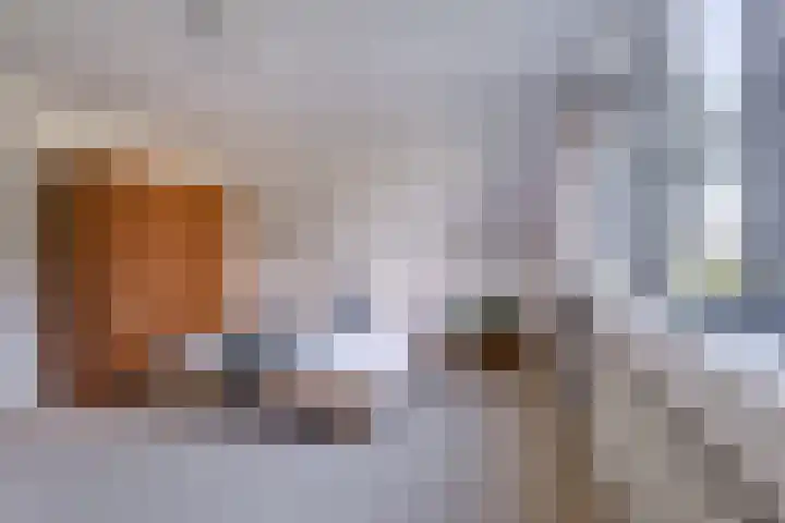 Zomerweg 45 Tytsjerk thumbnail 41