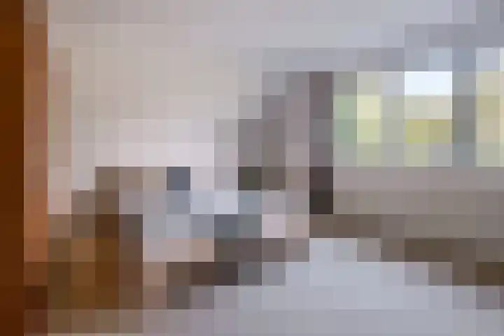 Zomerweg 45 Tytsjerk thumbnail 42