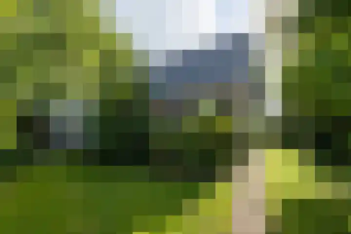 Zomerweg 45 Tytsjerk thumbnail 46