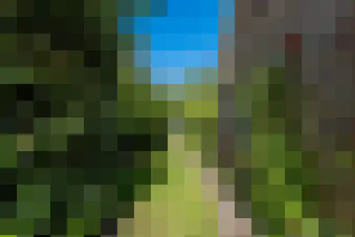Zomerweg 45 Tytsjerk thumbnail 47