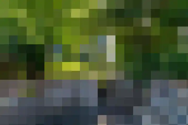 Zomerweg 45 Tytsjerk thumbnail 48
