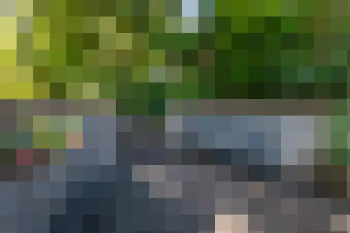 Zomerweg 45 Tytsjerk thumbnail 49