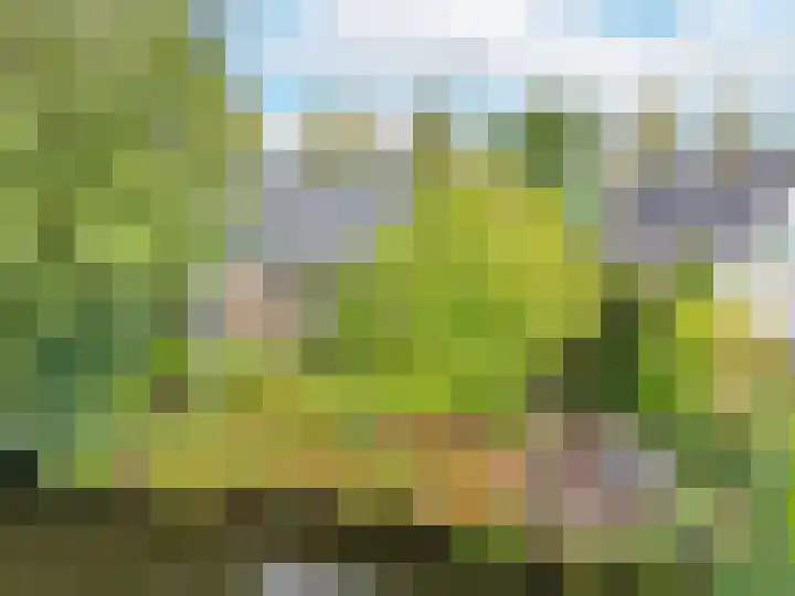 Zomerweg 45 Tytsjerk thumbnail 5