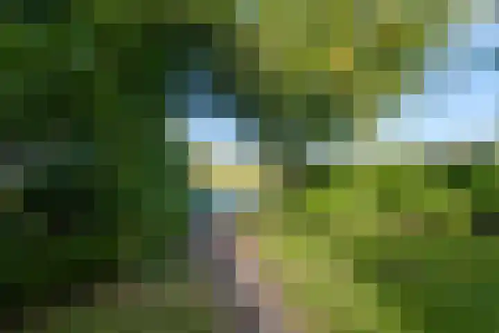 Zomerweg 45 Tytsjerk thumbnail 52