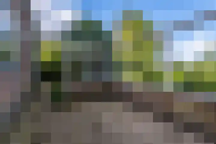 Zomerweg 45 Tytsjerk thumbnail 55