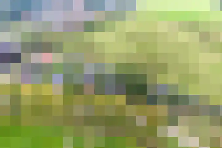 Zomerweg 45 Tytsjerk thumbnail 56