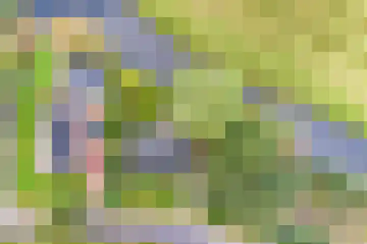 Zomerweg 45 Tytsjerk thumbnail 57