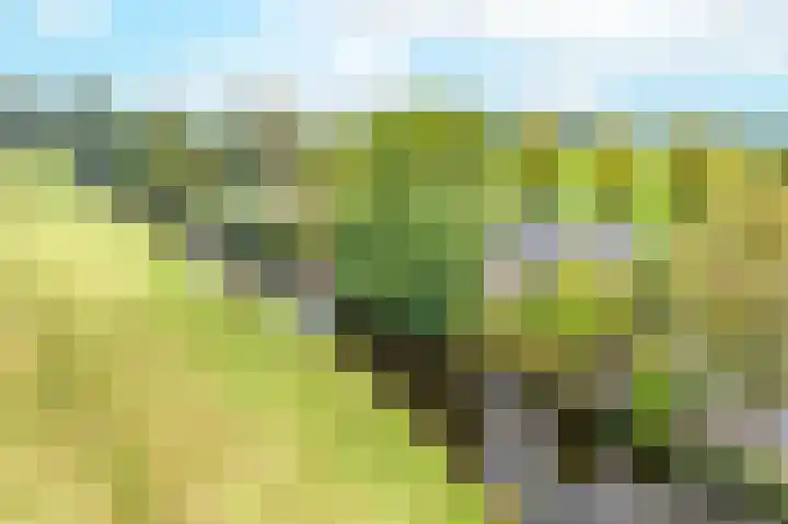 Zomerweg 45 Tytsjerk thumbnail 59