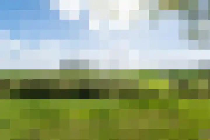 Zomerweg 45 Tytsjerk thumbnail 60