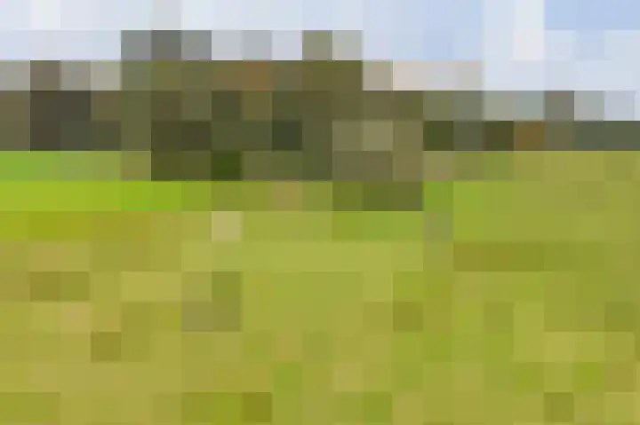 Zomerweg 45 Tytsjerk thumbnail 61