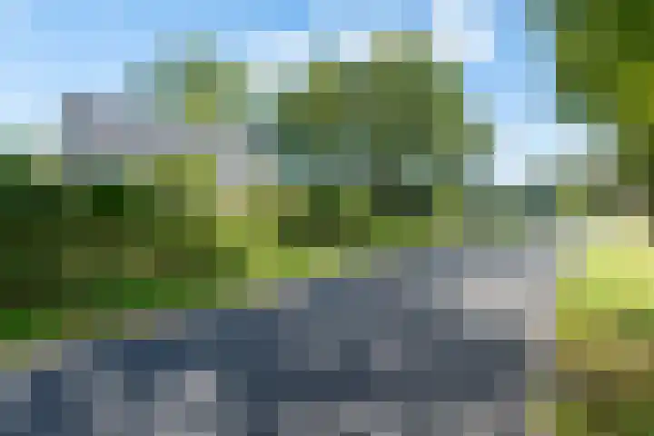 Zomerweg 45 Tytsjerk thumbnail 8