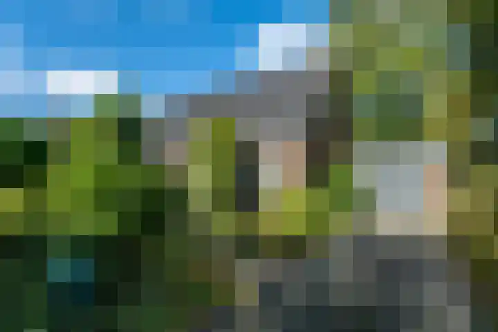 Zomerweg 45 Tytsjerk thumbnail 9